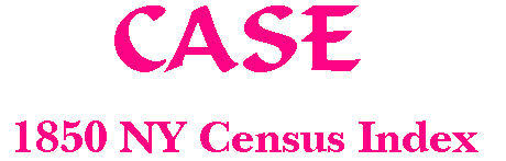 Cases in New York 1850